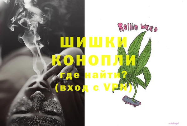 дурь Пестово