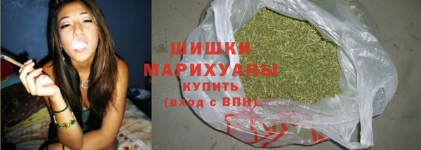 spice Аркадак