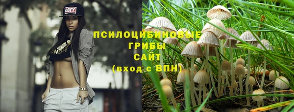 spice Аркадак