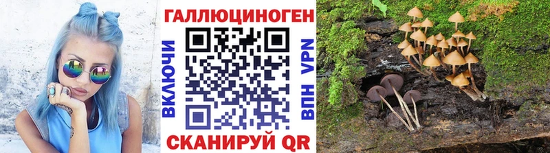 Галлюциногенные грибы Magic Shrooms  Пудож 