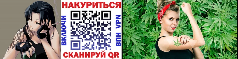 Конопля Bruce Banner  МЕГА вход  Пудож 